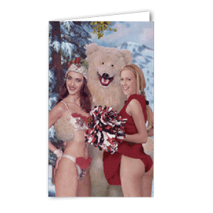Carte postale dépliante Bikini - Polar bear and the HOT girls !