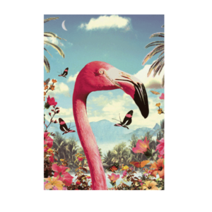 Carte postale Bikini 101 - Flamingo Head