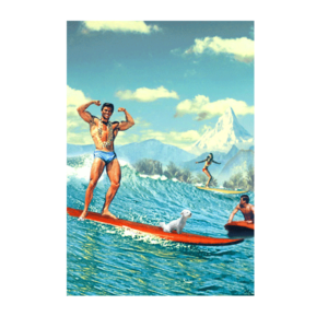 Carte postale Bikini 105 - Surfing with Struppi