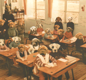 Carte postale BLONDI - Classe de chiots