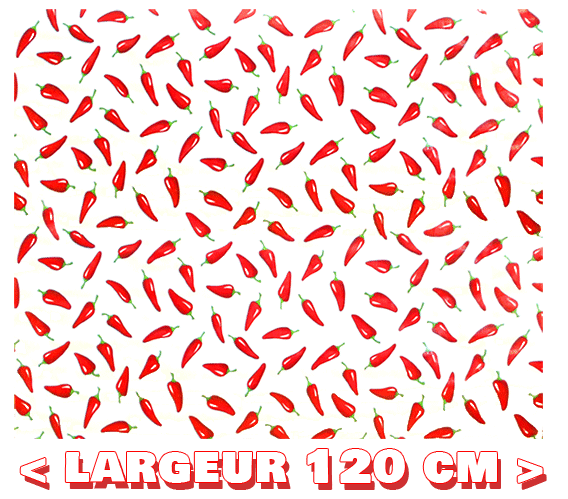 Toile cirée mexicaine largeur 120 cm CHILI Blanc - Le mètre 12€ – Image 4