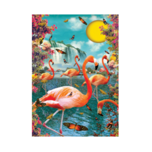 Poster Bikini - Flamant rose