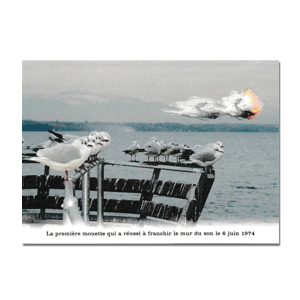 Carte postale - n° 308 - La première mouette qui a réussi à franchir le mur du son le 6 juin 1974 - La face cachée du Léman