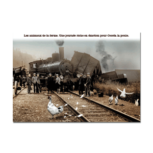 Carte postale - n° 498 - Les animaux de la ferme, une journée riche en émotion pour Cocotala poule - Cartes hors-collections Plonk & Replonk