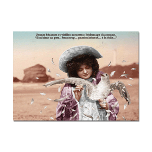 Carte postale - n° 596 - Jeunes bécasses et vieilles mouettes - Cartes hors-collections Plonk & Replonk