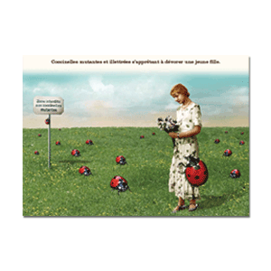 Carte postale - n° 597 - Coccinelles mutantes et illettrées s'apprêtant à dévorer une jeune fille - Cartes postales Hors-collections Plonk & Replonk
