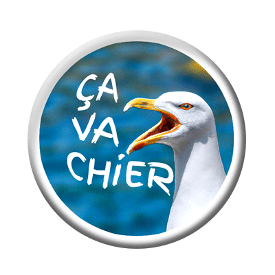 Badge ou aimant 56mm - Ça va chier – Bleu