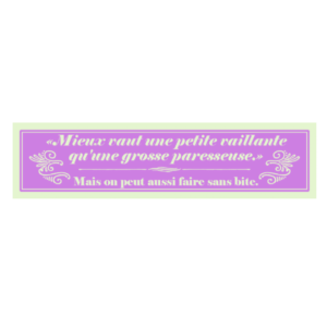 Autocollant 17x4 cm – Mieux vaut une petite vaillante qu’une grosse paresseuse. Mais on peut aussi faire sans bite.